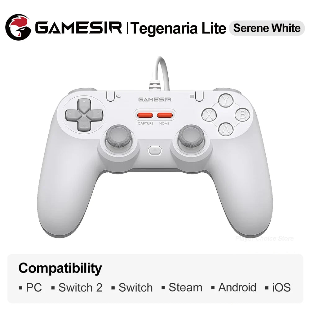GameSir Retro Gamepads Wired Controller for PC Windows Steam Switch Controle Hall Effect stick 2 Mappable Buttons Tegenaria Lite